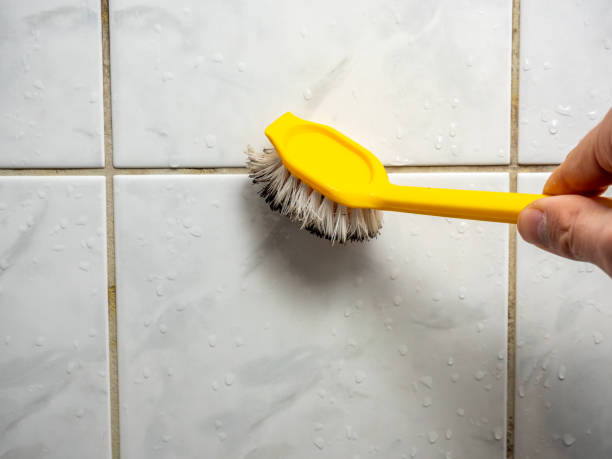 Certified Mold Removal in Herrin, IL