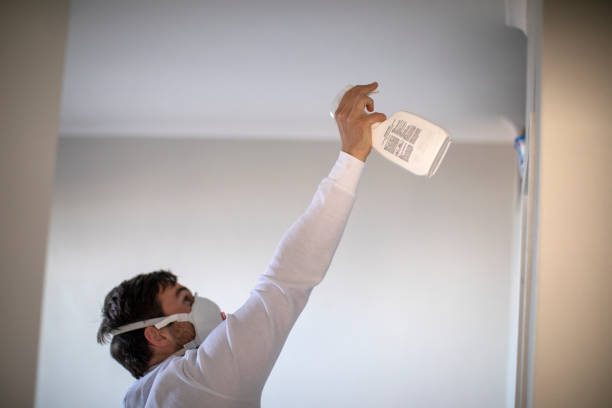 Best Mold Remediation Experts  in Herrin, IL