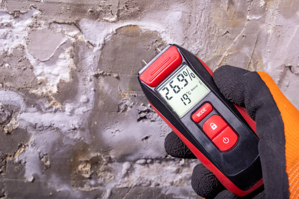 Best Emergency Mold Removal  in Herrin, IL