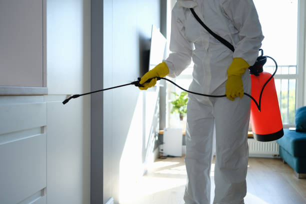 Best Residential Mold Removal  in Herrin, IL